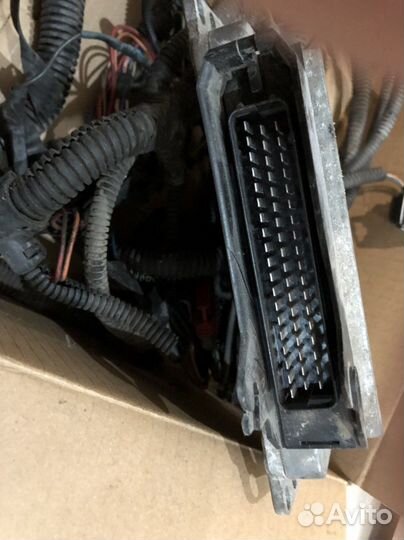 Эбу-мозги-коса-проводка