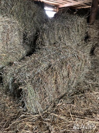 Сено в тюках