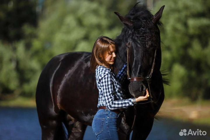 Выгуливать собак