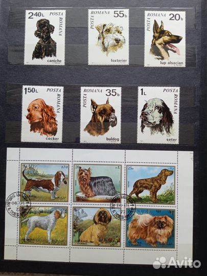 Коллекция марок 