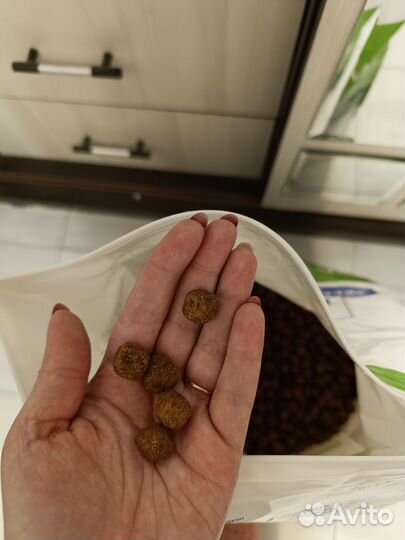 Корм для собак hills