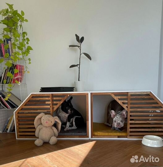 Вольер для собак Домашний