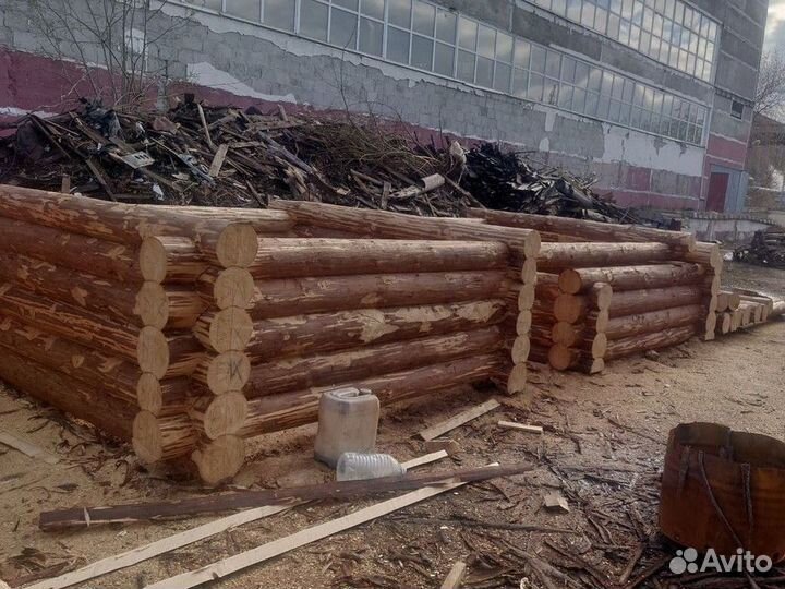 Сpyб 3имний лec