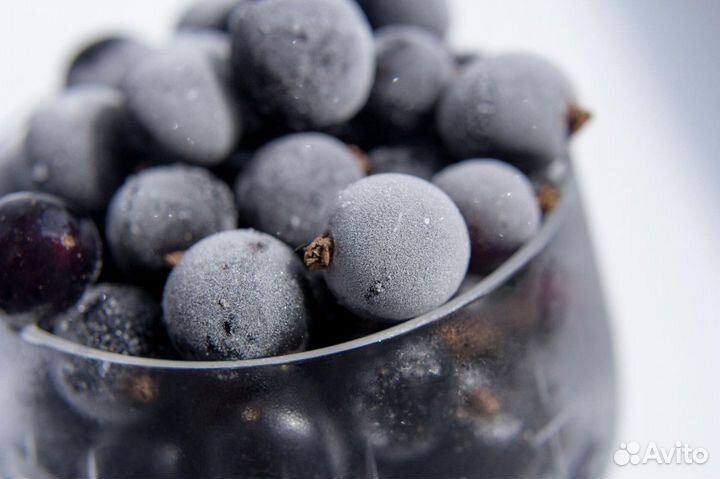 Черная смородина ягоды