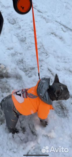 Одежда для собак щенков комбинезон размер M-L