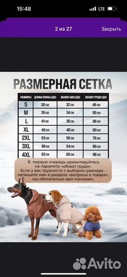 Комбинезон для собаки