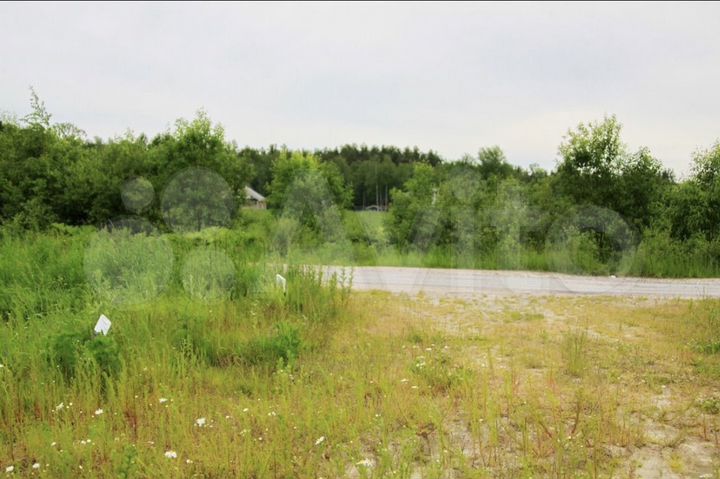 Участок 12,5 сот. (СНТ, ДНП)