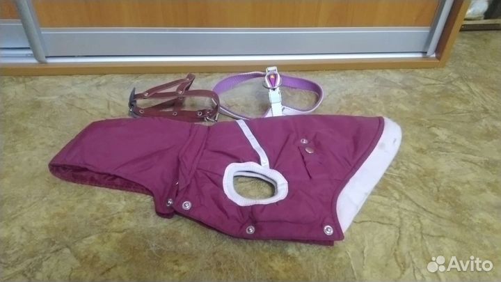 Комбинезон и две шлейки для собак мелких пород