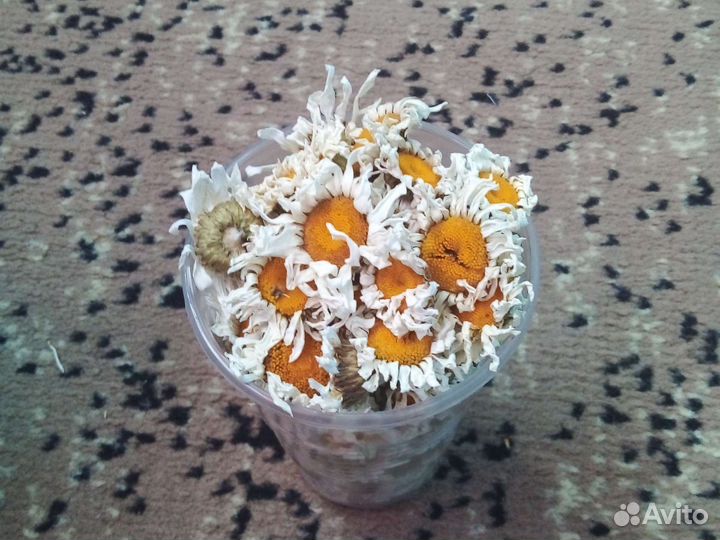 Ромашка полевая сушёная