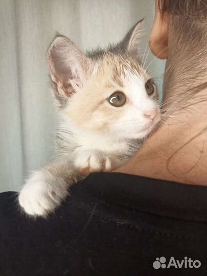 Сладкая Зайка ждёт свою маму и папу