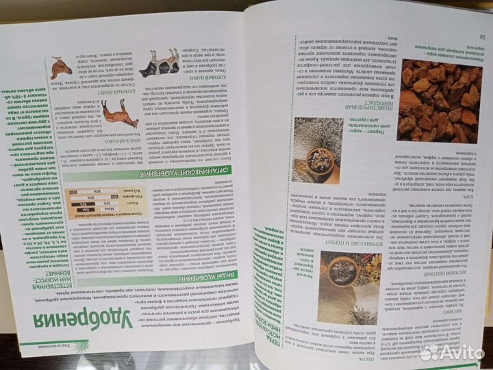 Книга. Мини-энциклопедия 