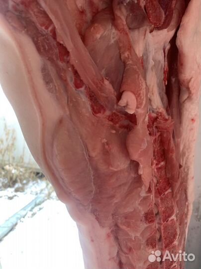 Молодая свинина без сала V.I.P (выборка)