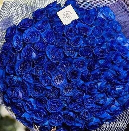 Синие розы Букеты с доставкой