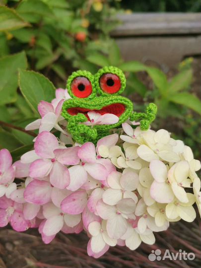 Лягушка малышка