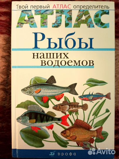 Энциклопедия про рыб наших водоёмов Дрофа