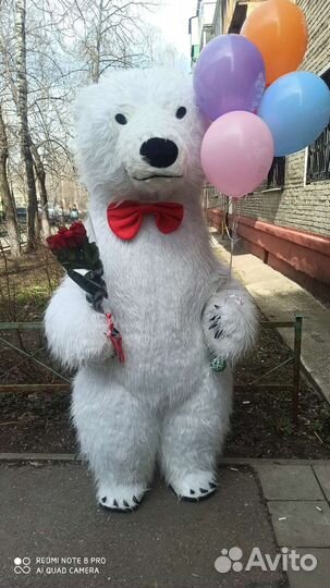 Белый Мишка с поздравлением