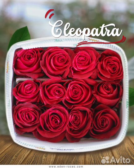 Цветы оптом из эквадора, кении, голландии