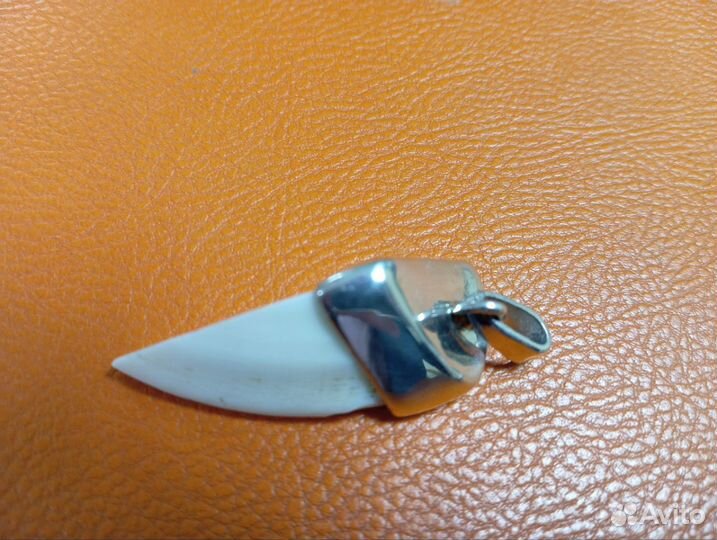 Клык кабана