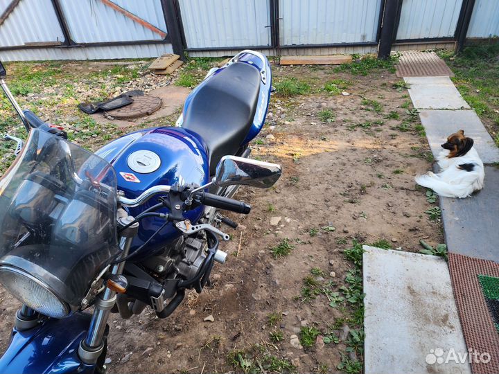 Honda cb 600f hornet