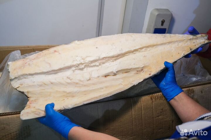 Филе Масляная (Эсколар) 6+