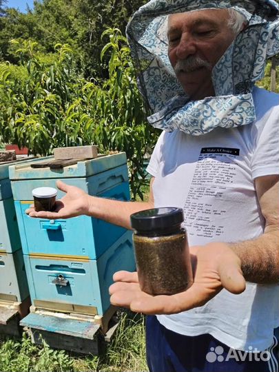 Антигельминтный Мёд