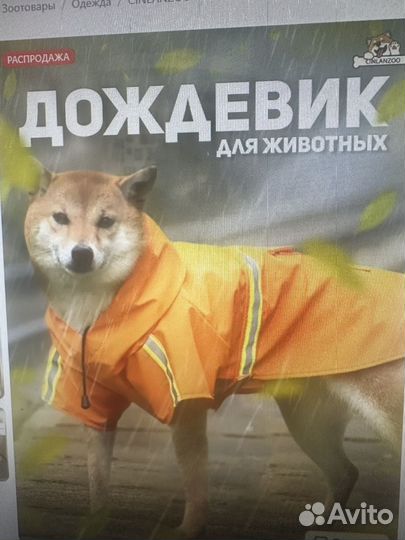 Дождевики для собак средних и крупных пород