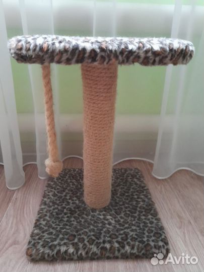 Когтеточка