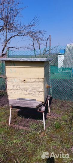 Продам ульи для пчел