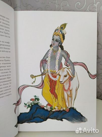 Книга Свет бхагаваты