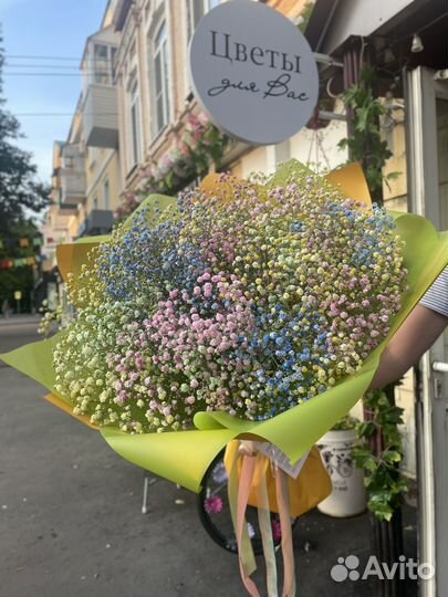 Букет из гипсофилы