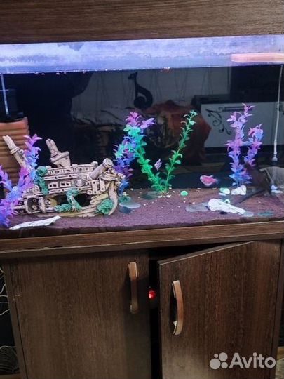 Аквариум с тумбой 145 литров