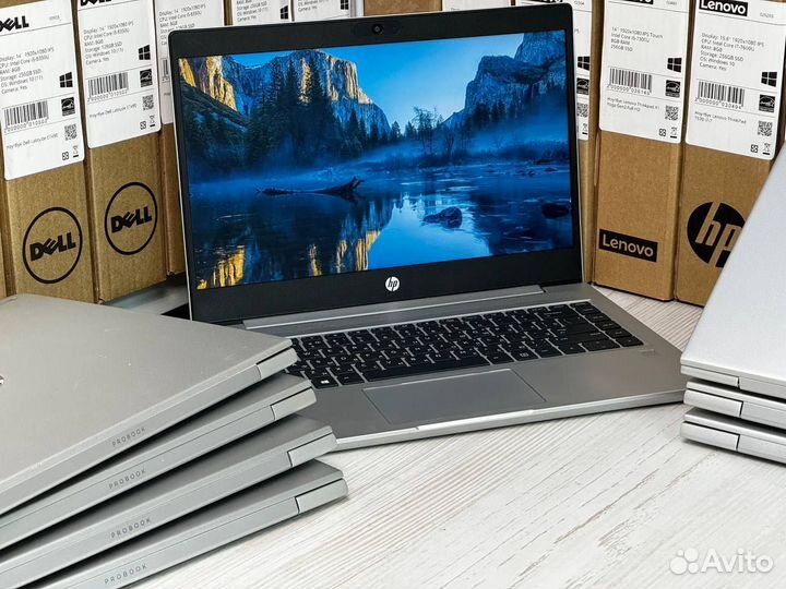 6 ядерный ноутбук HP ProBook 445 G7