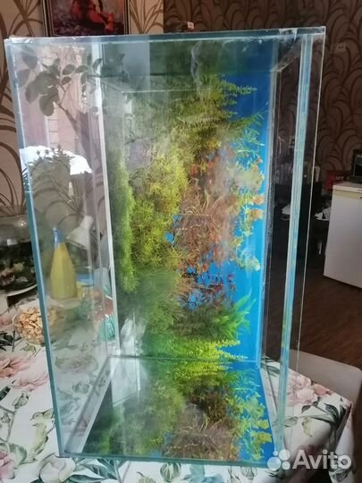 Аквариум