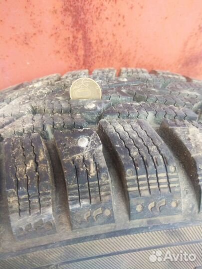 Nokian Tyres Nordman 7 195/65 R15 95T