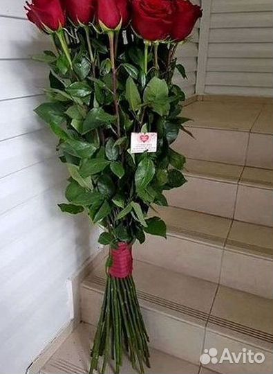 Высокие Розы Гиганты Доставка Круглосуточно