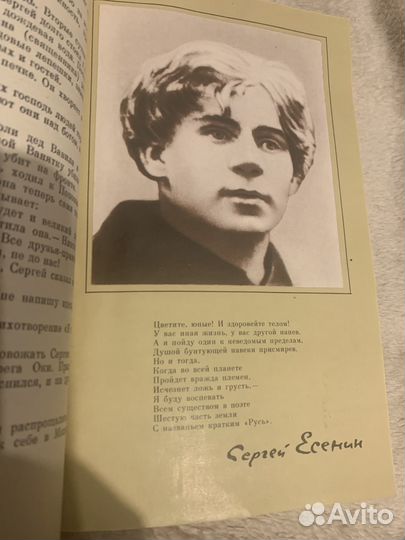Сергей Есенин, воспоминания родных
