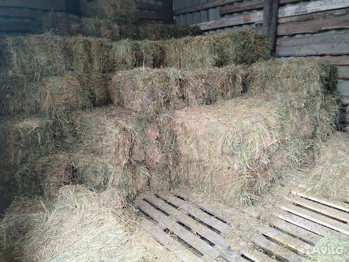 Сено в тюках