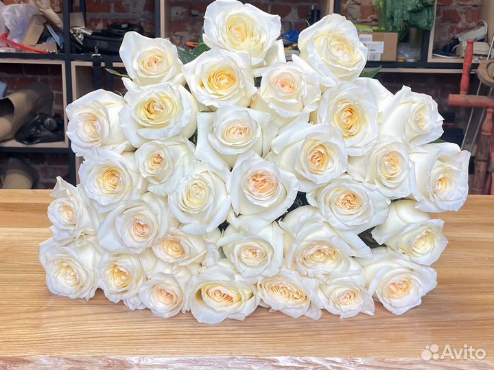 Розы без посредников, 101 роза, большие букеты