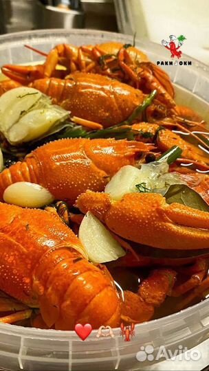 Раки лучшего качества быстрая доставка