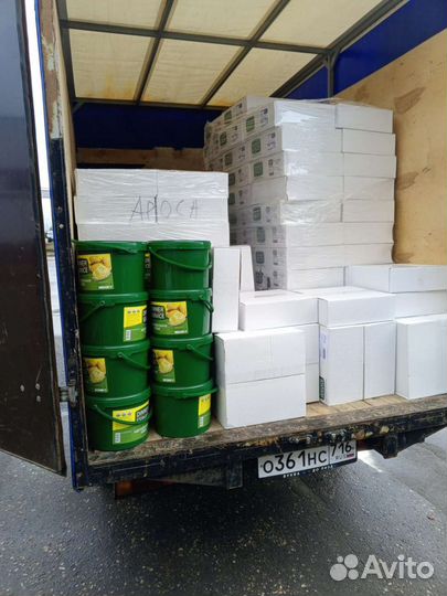 Грузоперевозки Газель Переезды Грузчики