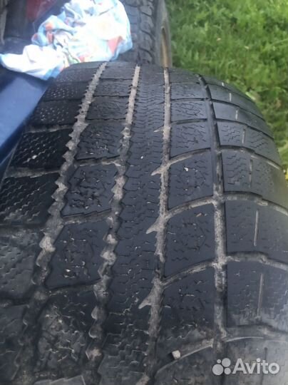 Toyo Winter Tranpath MK3 215/65 R16