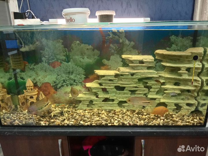 Украшение для аквариума