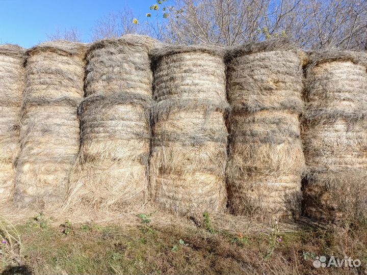 Сено в тюках