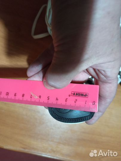 Обувь для животных