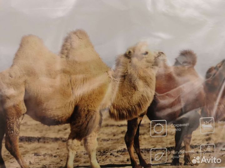 Комплект белья подушки и одеяло