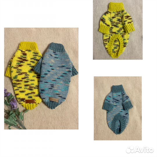 Одежда для собак