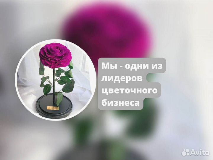 Роза в колбе. От производителя