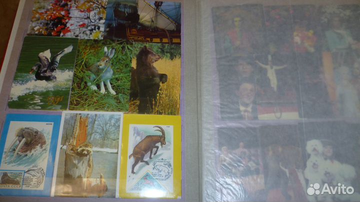 Карманные календарики