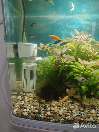 Аквариум с тумбой jebo