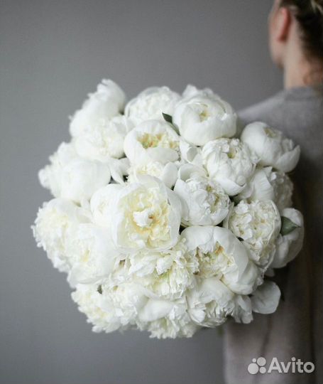 Крупные пионы с беспл. доставкой